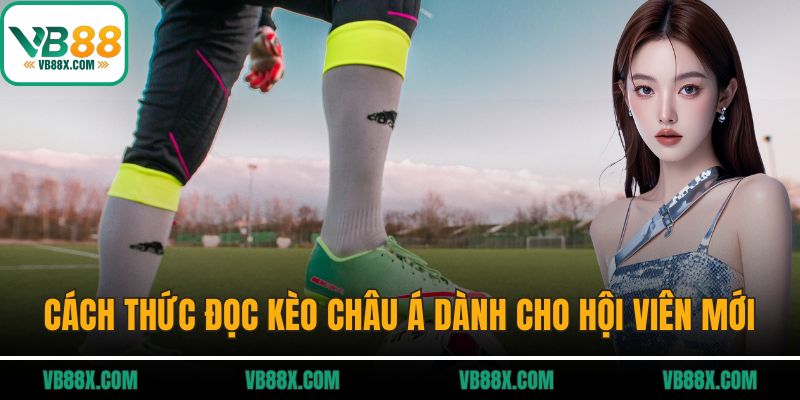 Kèo Châu Á Là Gì? Cách Đọc Chuẩn Xác Nhất Tại VB88 Cách thức đọc kèo châu Á dành cho hội viên mới