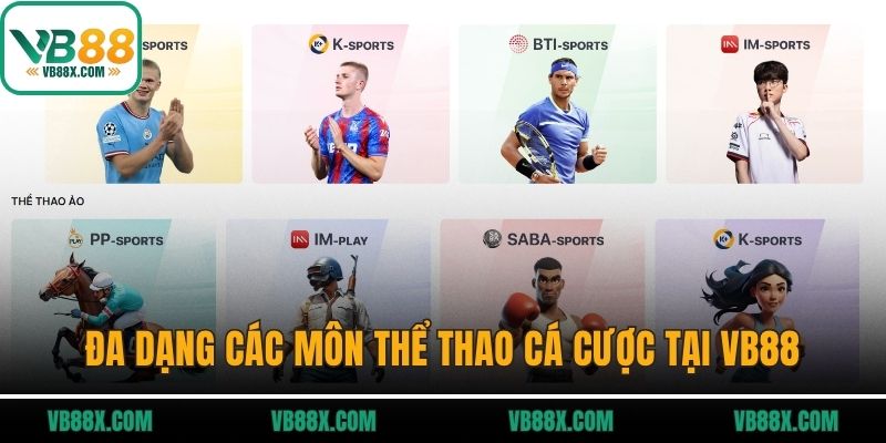Đa dạng các môn thể thao cá cược tại VB88